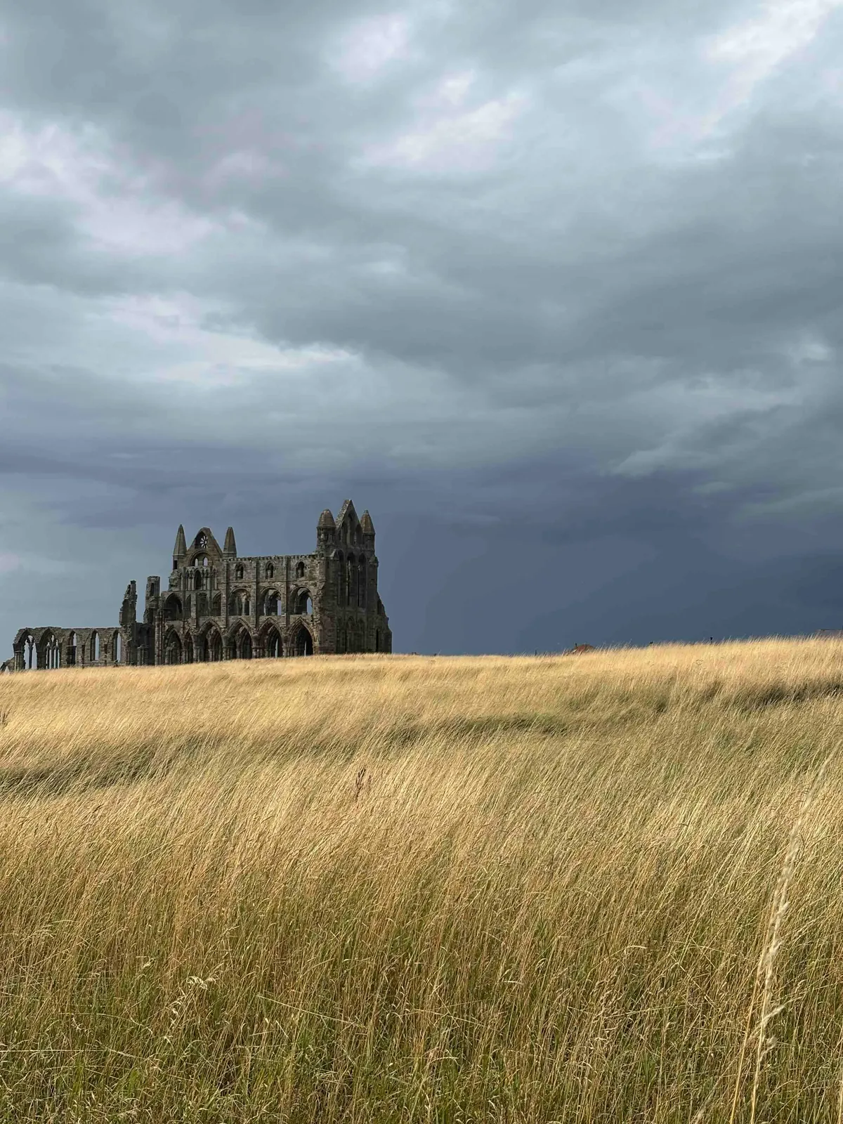 Whitby Abbey above the harbour on a private Yorkshire day tour